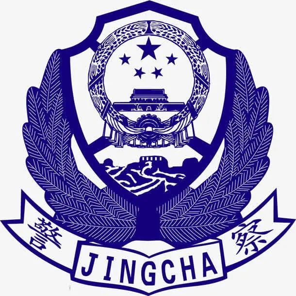 龙凤区法院司法警察大队圆满完成"实战化训练推进年"考核验收工作