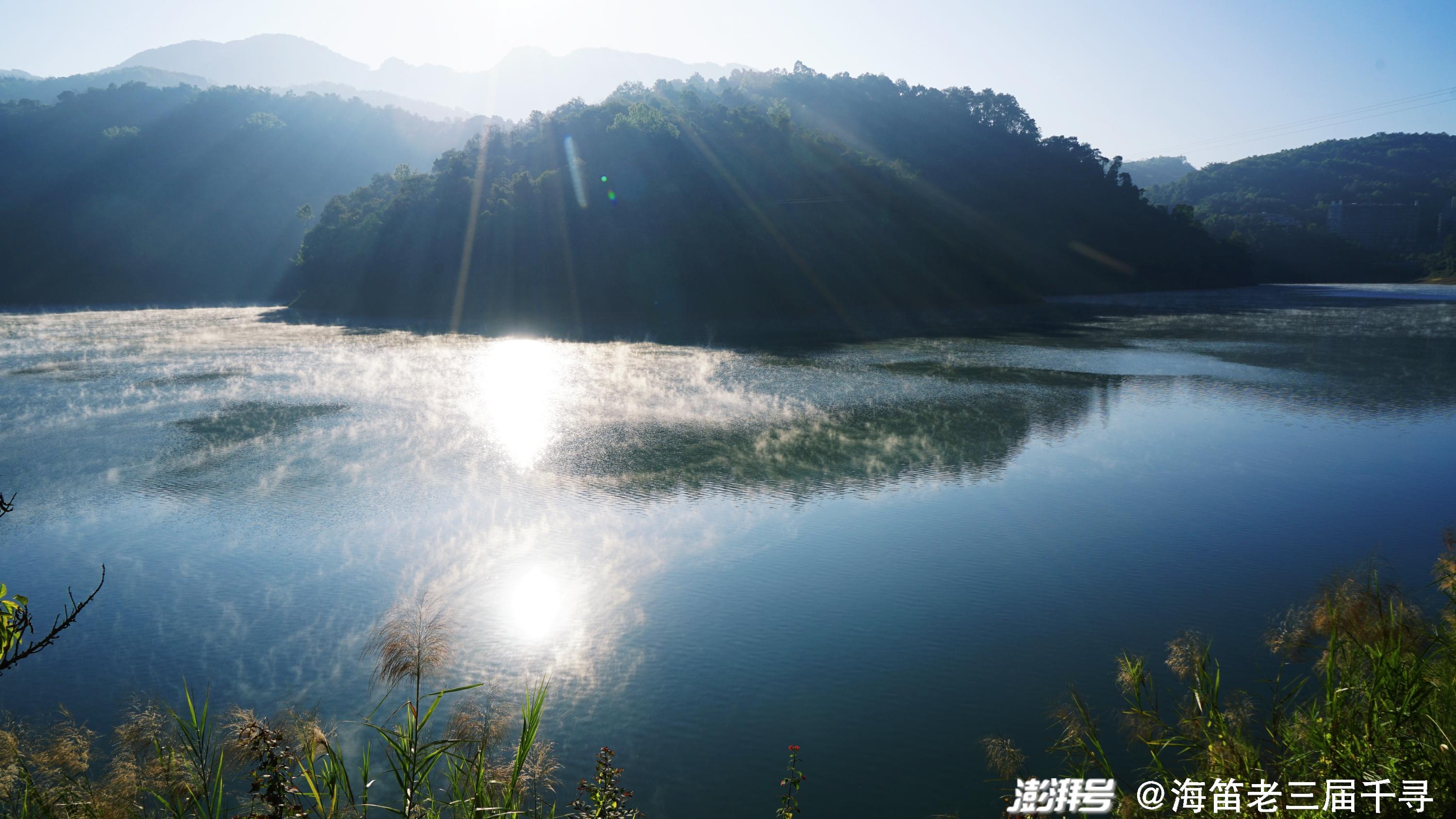 云南芒市美丽孔雀湖的清晨_城事_澎湃新闻-the paper