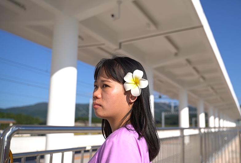 在勐腊的占芭花老挝一个家中国一个家一条幸福路连接两个家