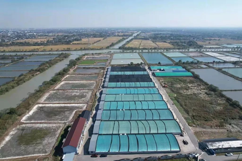 共6家首批市级水产良种场名单公布