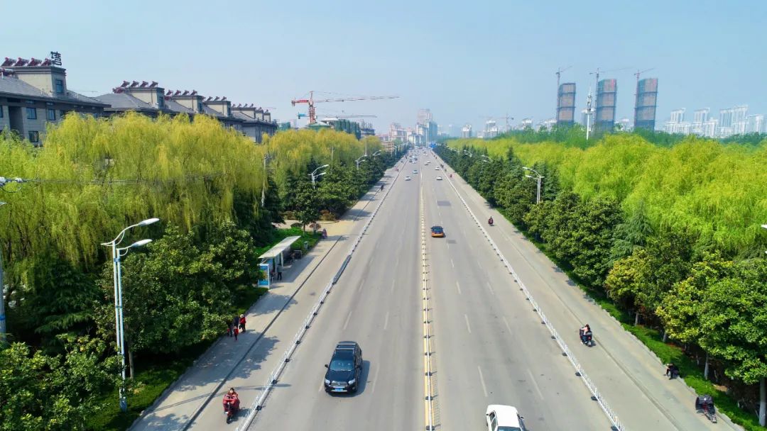 井冈山路(栾树大道)全国文明城市邳州最闪亮的城市名片从"摘得金牌"