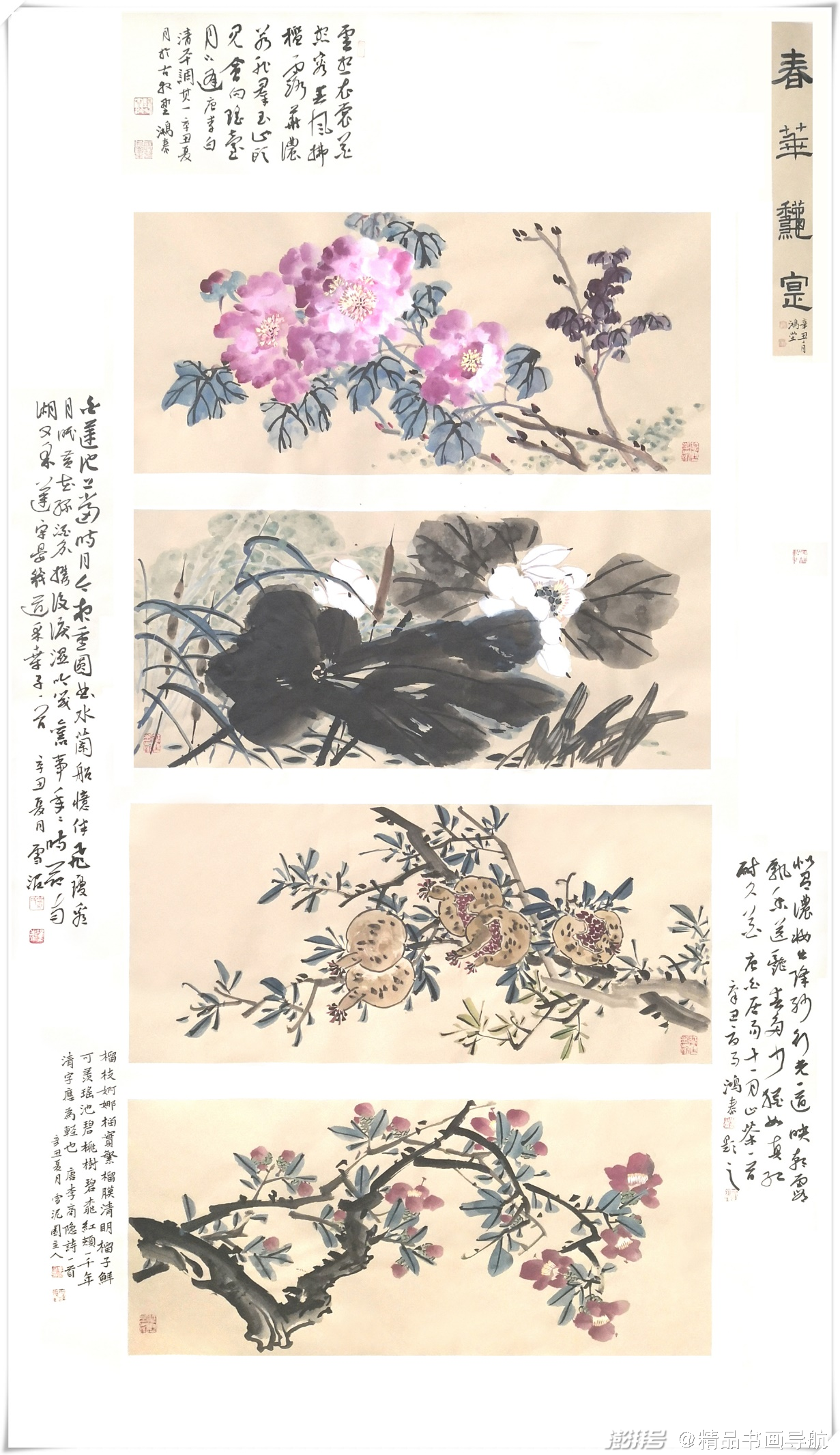 聚焦当代艺术名家:画家娄鸿泰