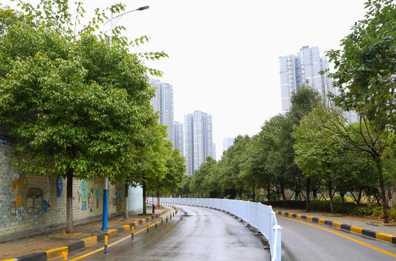 改造后的龙锦路6969街巷虽小,却是离百姓最近的连心路,街巷虽窄