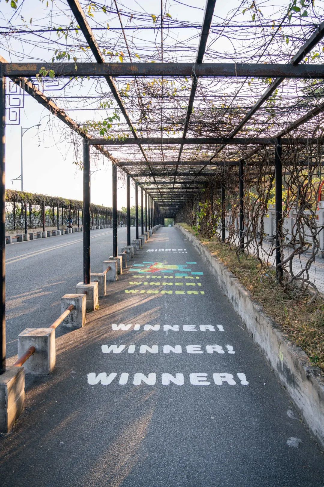 不止是涂鸦在华农紫荆桥一起走花路