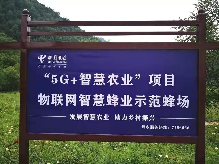 甘肃陇南"5g 智慧农业"物联网智慧蜂业示范蜂场