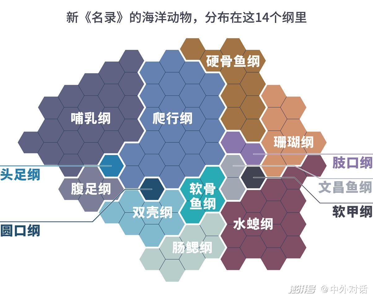 国家重点保护野生动物名录调整 这些海洋生物命运能否改变