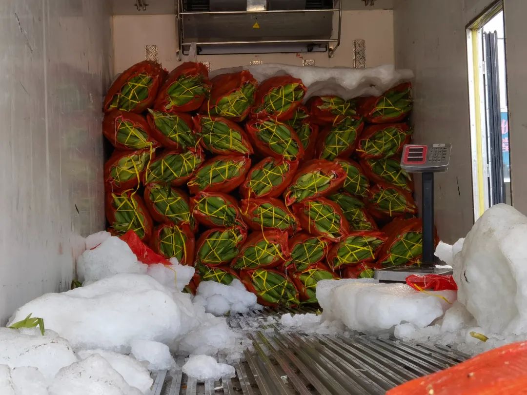 入沪蔬菜全部要泡防腐剂?假的,直击外省市蔬菜入沪