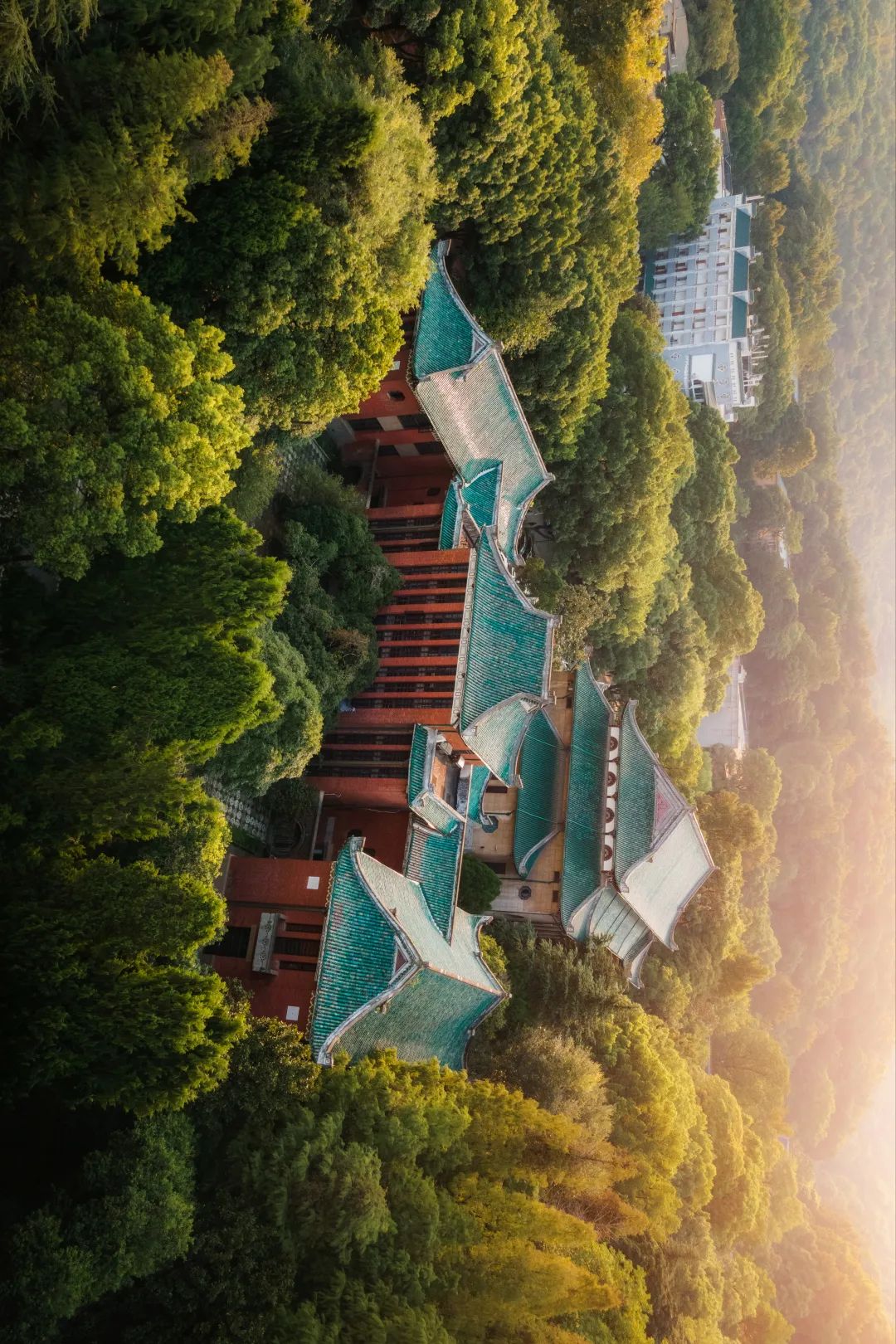 湖大"新八景",你还记得吗?_澎湃号·政务_澎湃新闻-the paper