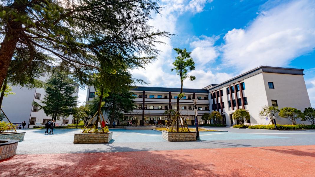 眼下,走进修文县第一中学,金菊怒放,书声琅琅.