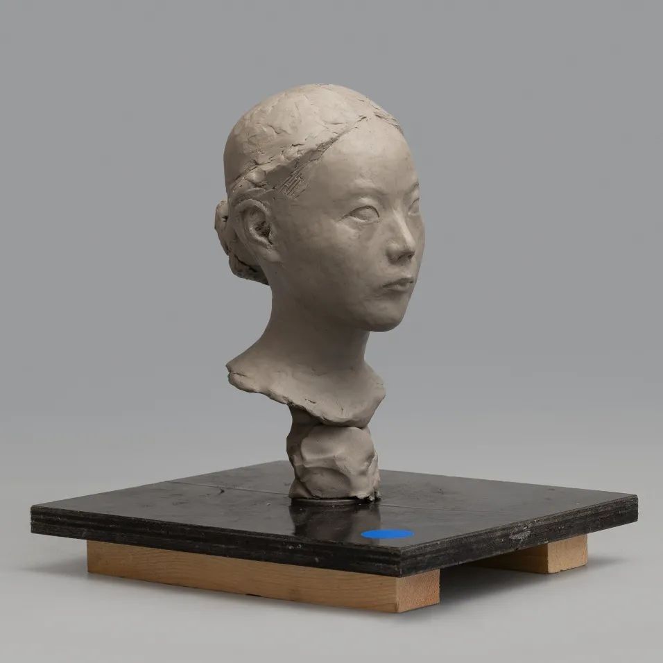 展课丨中央美院造型学科基础部泥塑课程优秀作业汇报展