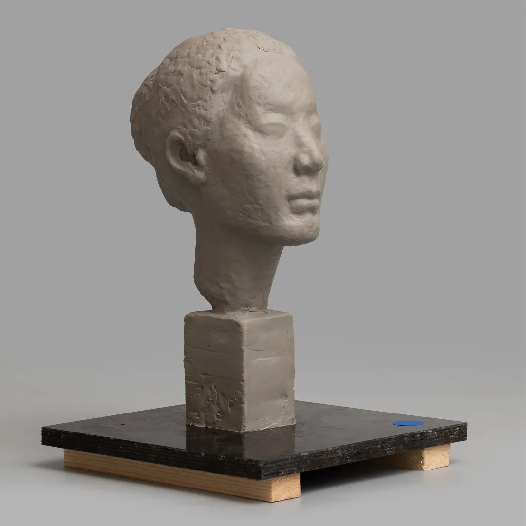 展课丨中央美院造型学科基础部泥塑课程优秀作业汇报展