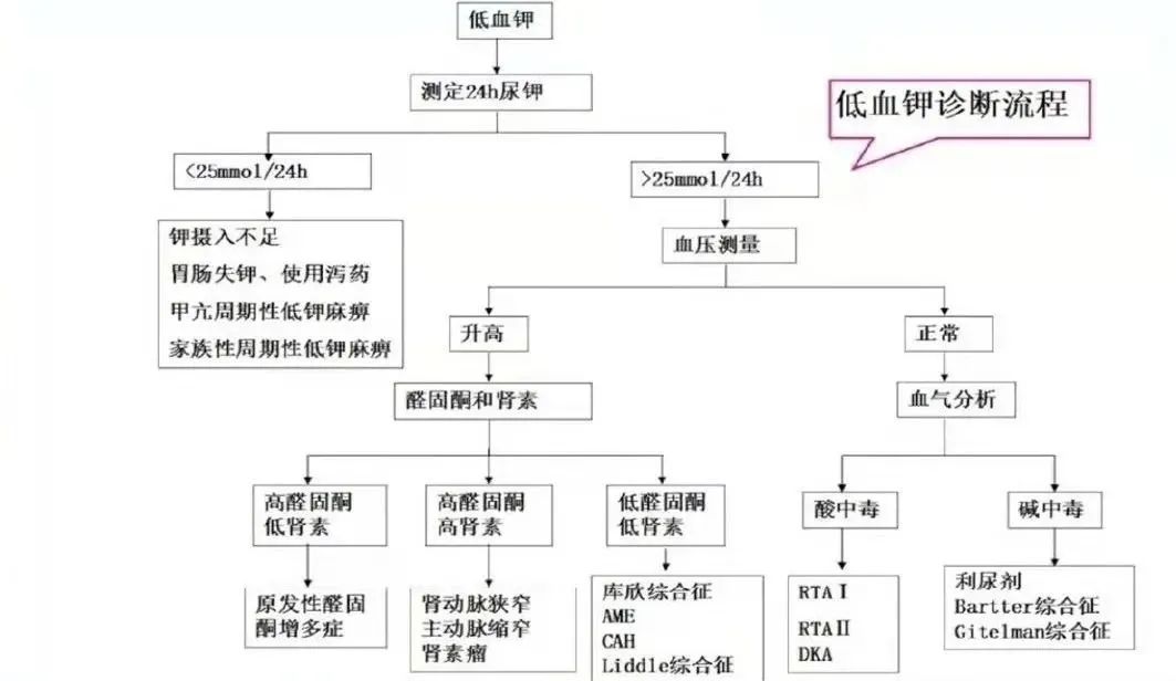 弄清这3个问题轻松搞定低钾血症