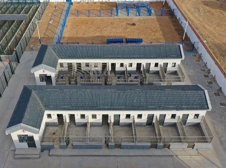 建筑面积298平米,犬舍两排共14间,2个训练场,现有警犬训导员4名,警犬8