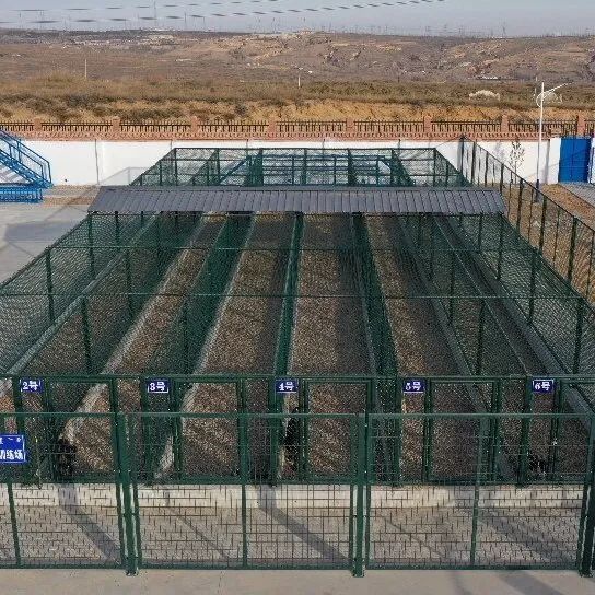 建筑面积298平米,犬舍两排共14间,2个训练场,现有警犬训导员4名,警犬8