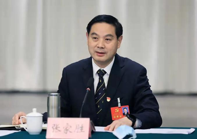 【聚焦党代会】张家胜参加红安代表团讨论时指出：以高质量发展实际成效展现红安作为 把老区建设得更好让…