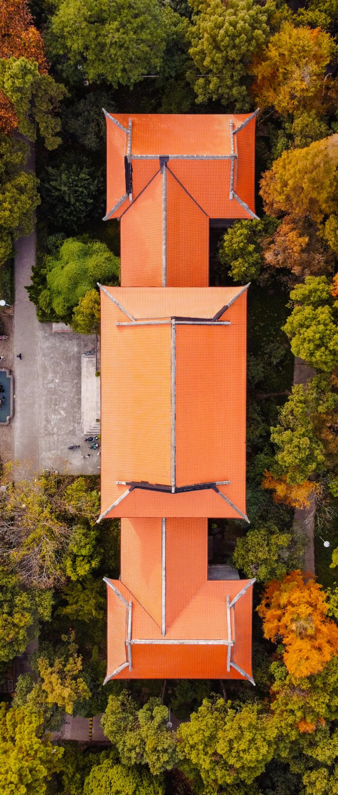 震撼这个角度看浙师绝美