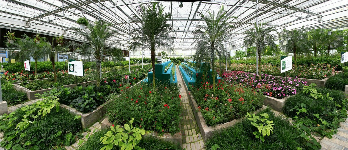 67北川维斯特农业科技示范园(北川县委宣传部供图)