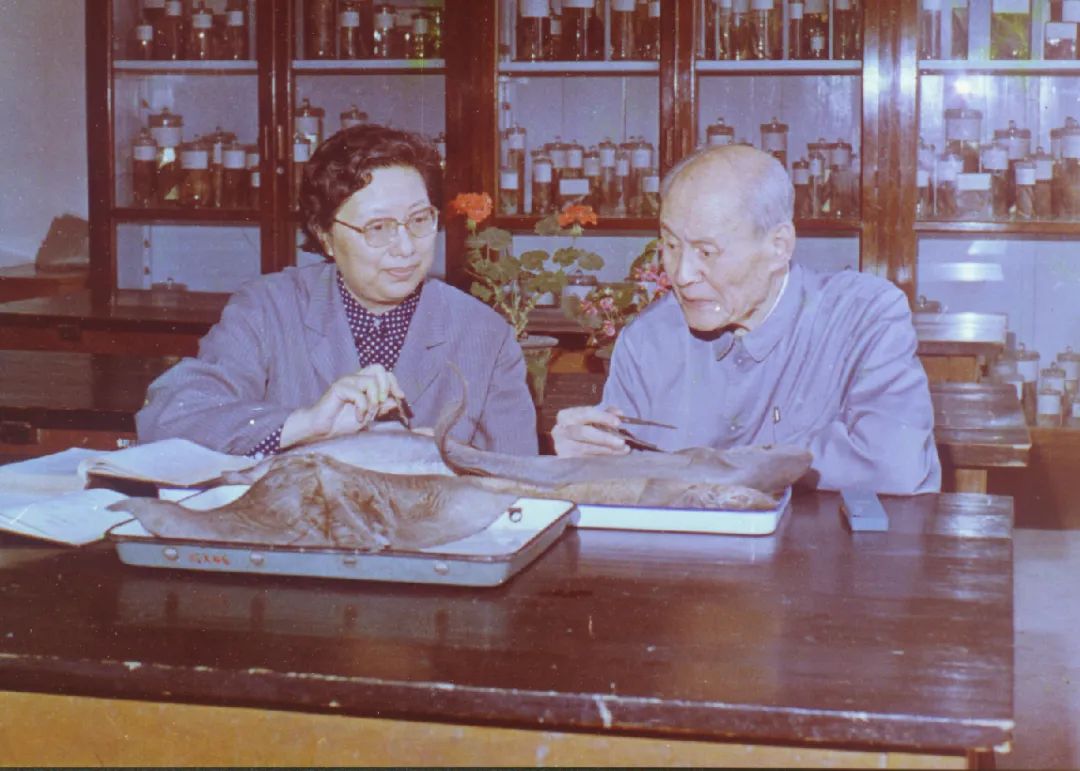 上海海洋大学