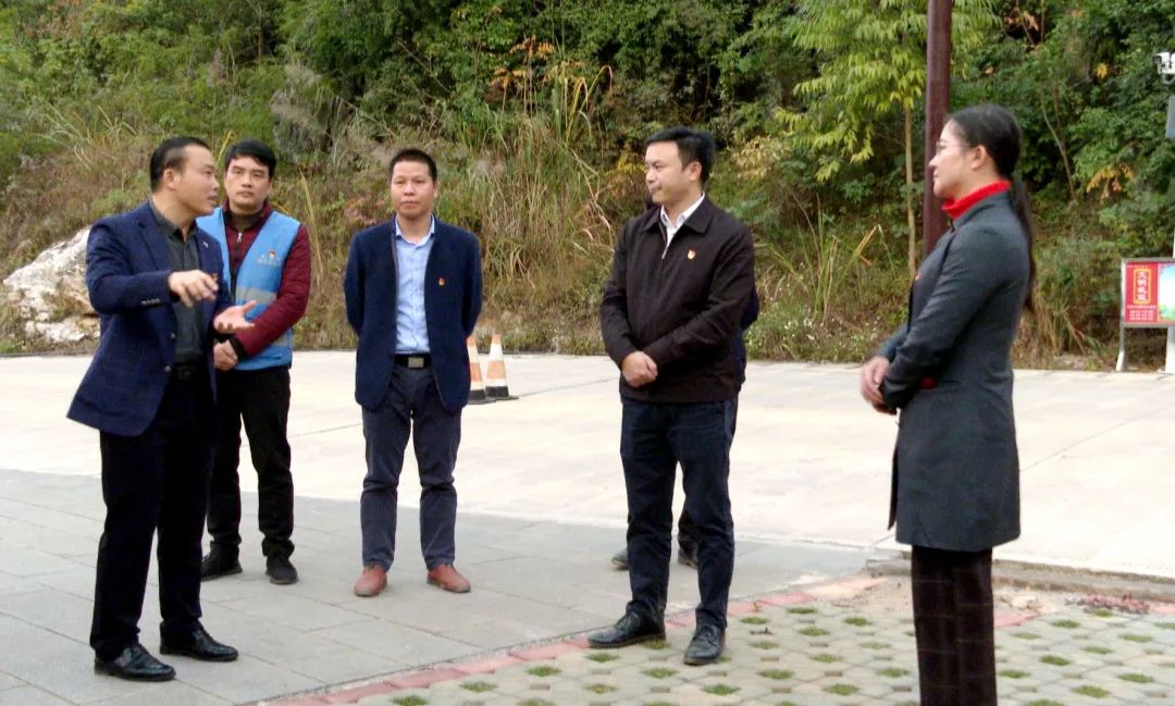 12月8日至9日,来宾市委常委,宣传部部长廖长友到武宣县桐岭镇,武宣镇