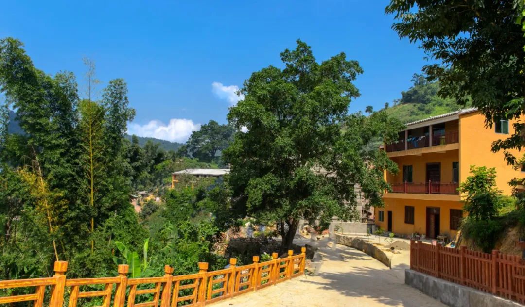 跟着音乐游云南打开坡芽情歌盲盒发现富宁之美