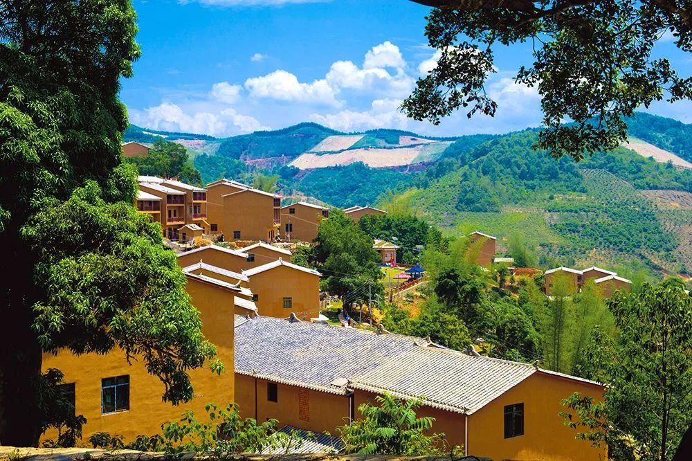 跟着音乐游云南打开坡芽情歌盲盒发现富宁之美