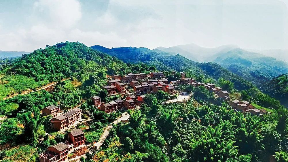 翠竹中的坡芽村 富宁县委宣传部 供图采一捧染饭花,泛舟于宽阔清澈的