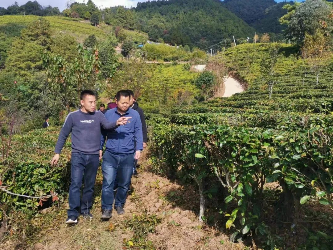 答好大理之问推动巍山发展青华乡开展专题调研活动问准产业发展症结