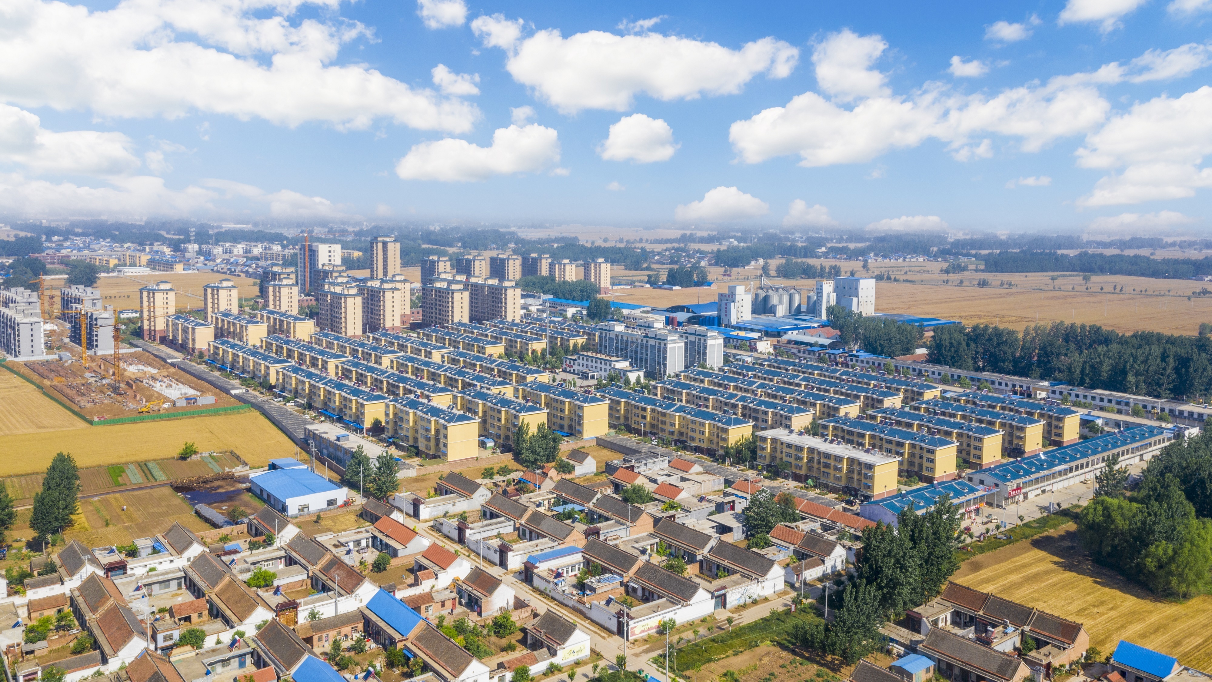 发展规模产业探索城乡融合定陶区马集镇乡村振兴新路径探访