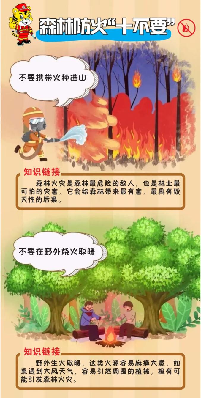 森林草原防灭火所有人森林草原防灭火这十条要牢记