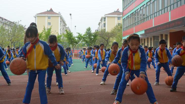 典型案例的经验做法_优质服务典型经验案例分享_典型案例经验总结