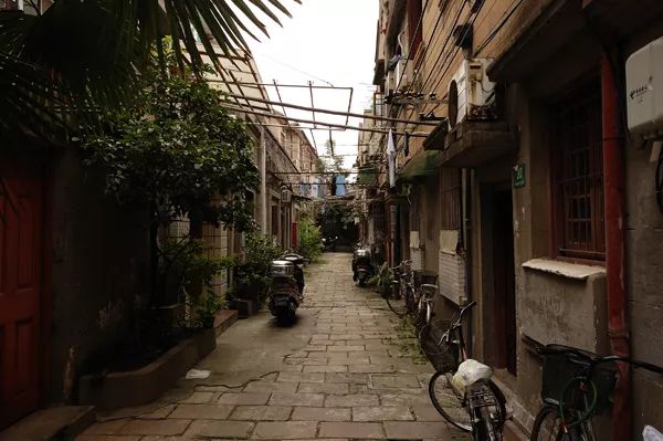 荡荡马路建国路的年轮和地标