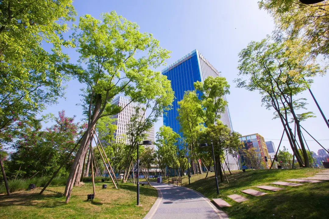 新川创新科技园