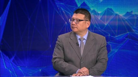 国际问题专家 张彬