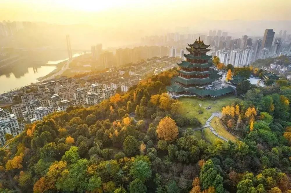 冬日,重庆美景图鉴