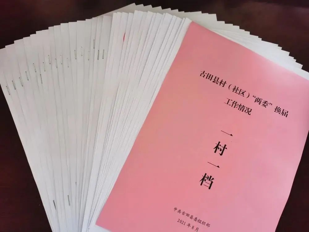 换届"一村一档"制度,逐村摸清"两委"意向人选,存在主要问题,选举难易