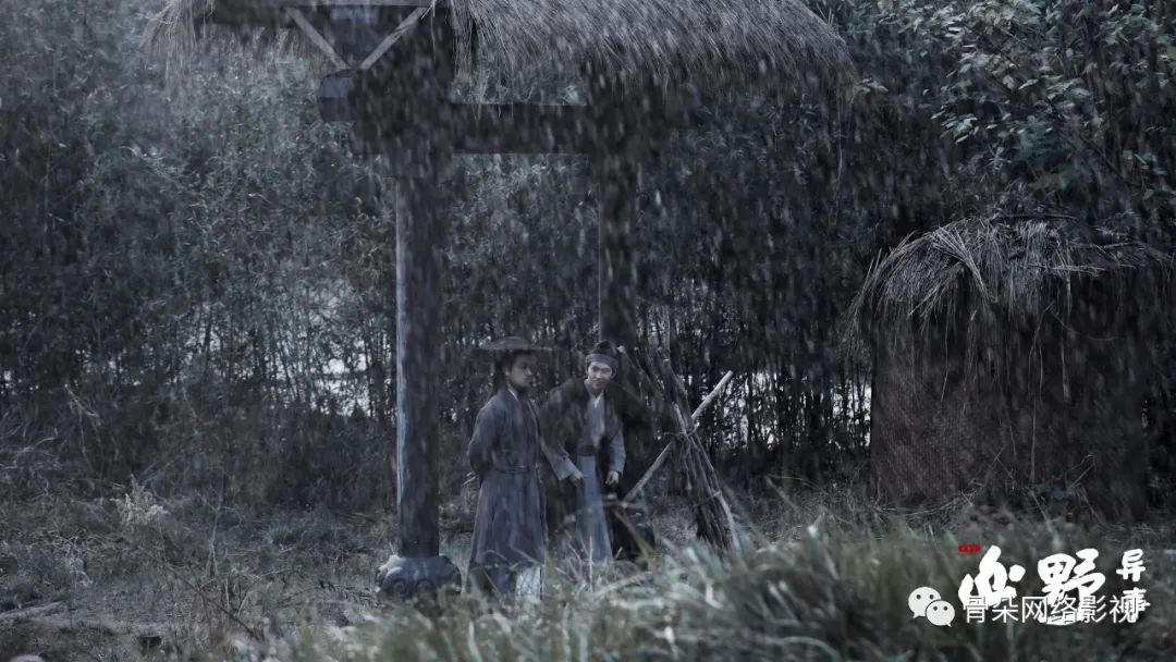 免费观看短剧山野神农，一场视觉与心灵的盛宴，免费观看，山野神农——视觉与心灵的盛宴