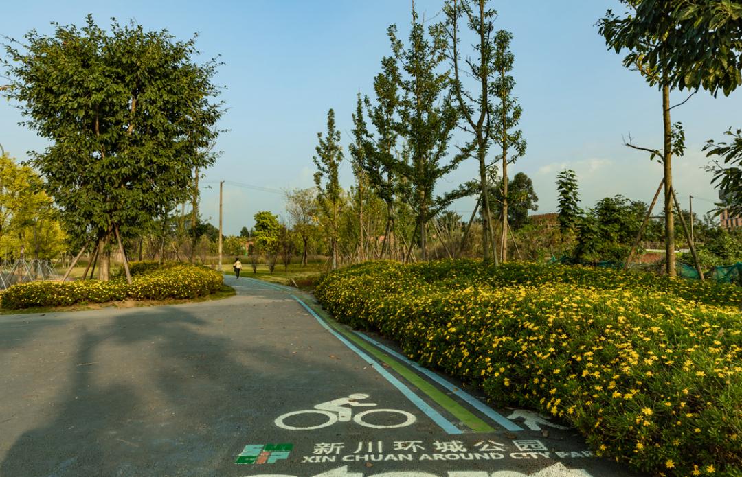 成都又一环城公园建成开放