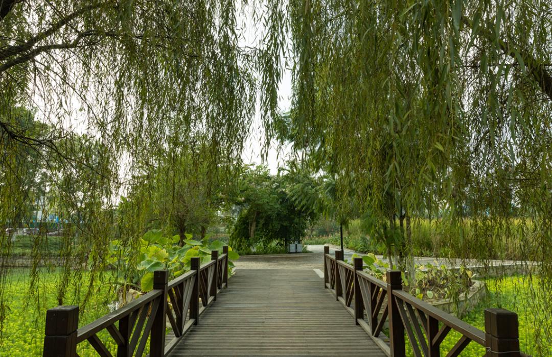 成都又一环城公园建成开放