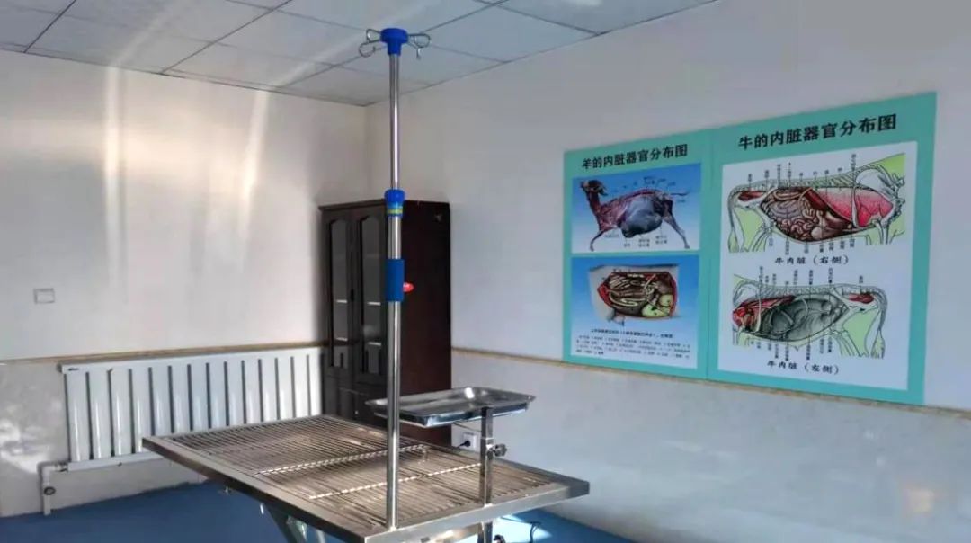鄂托克旗初步构建起旗镇(苏木)村(嘎查)三级兽医社会化服务体系_澎湃号·政务_澎湃新闻-The Paper