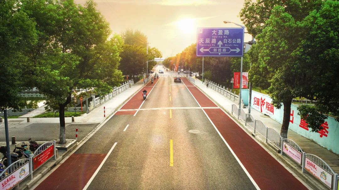 >100分!青浦这5条路被评为g级道路