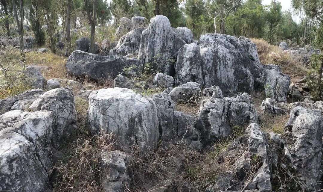 拍下來了近2000平方米的石群徐州這座山要火