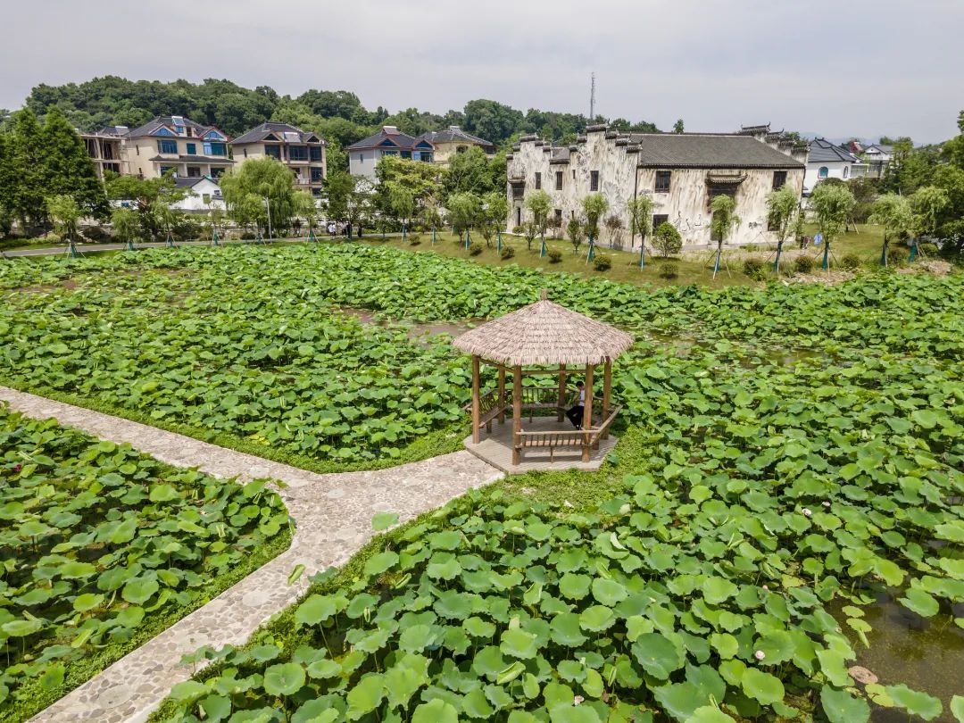 争创市级美丽庭院示范带李家巷镇石泉村美丽庭院创建实现华丽转变