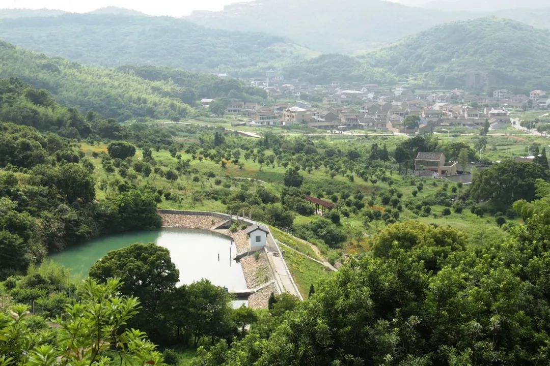 共富有我进行时民建会员企业助力大沙村旧貌换新颜