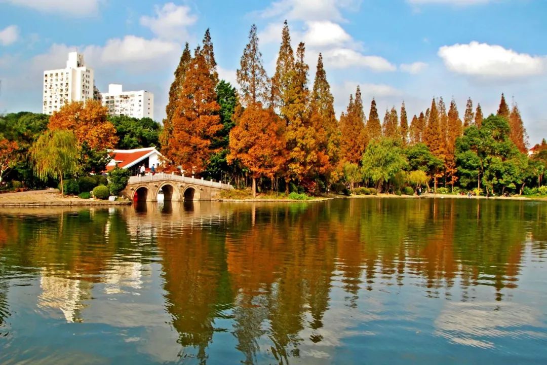 绝美杨浦公园的深秋斑斓如画