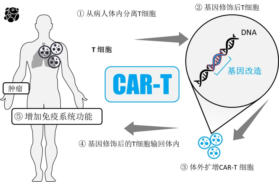 治愈美国前总统卡特癌症的神奇疗法到底有多厉害