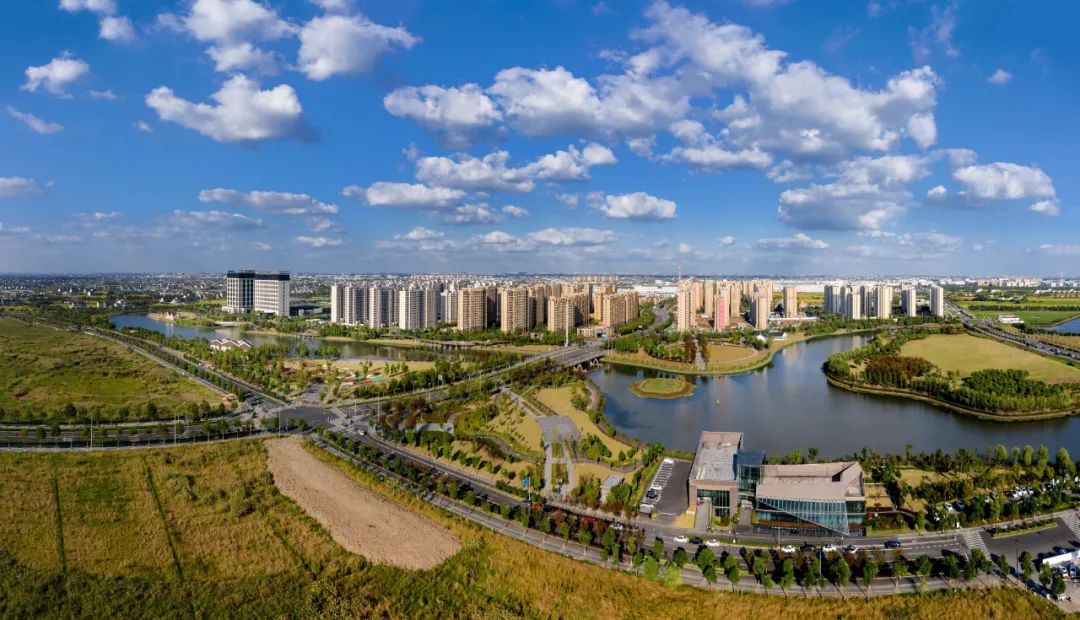 金山工业区:只争朝夕,笃定前行.