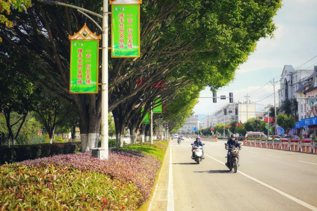 勐海美丽县城冬日暖阳下百花争艳