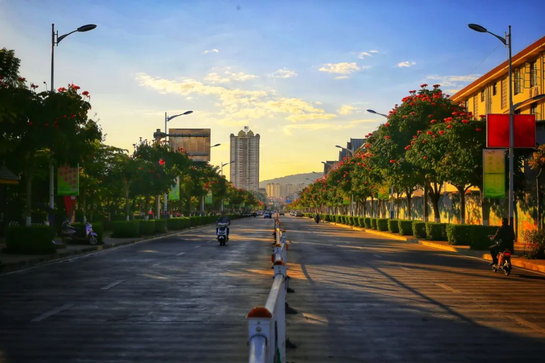 勐海美丽县城冬日暖阳下百花争艳