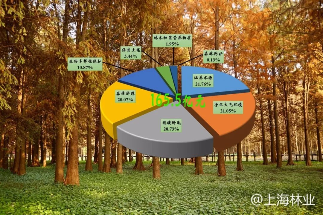 涵养水源,净化大气环境,固碳释氧,森林游憩,生物多样性保护,保育土壤