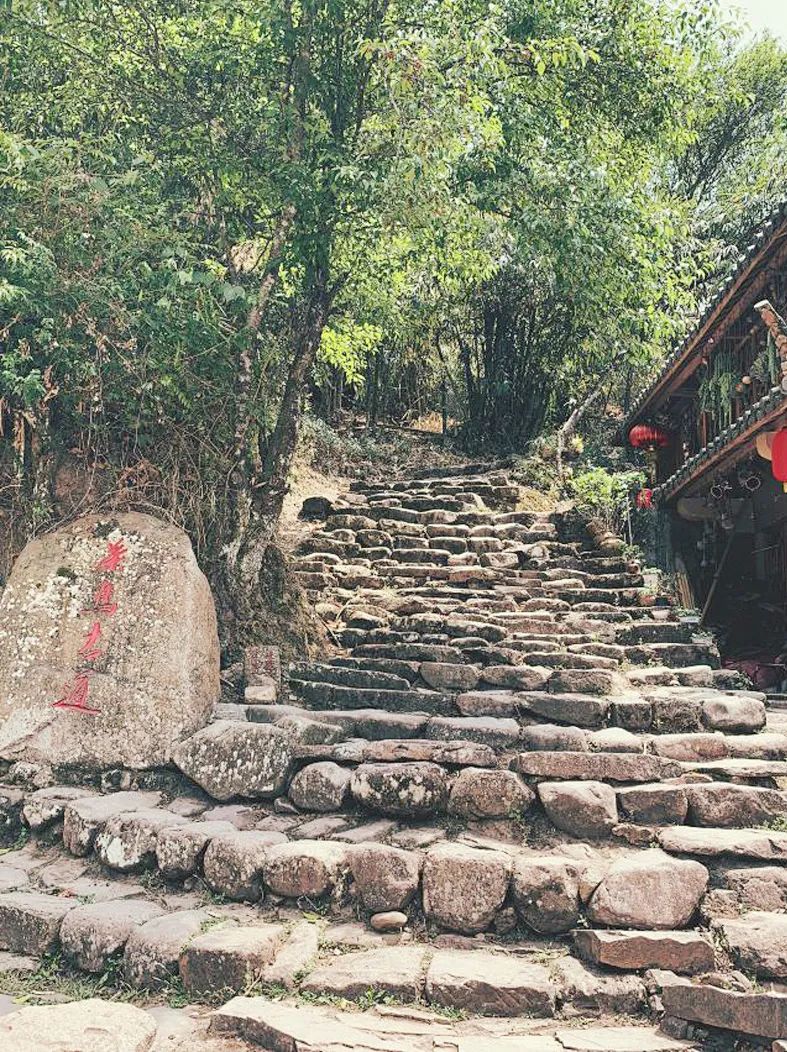 聚焦| 普洱那柯里茶马驿站景区拟获批"国家4a级旅游景区"!
